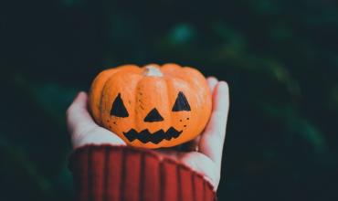 A hand holding a mini pumpkin