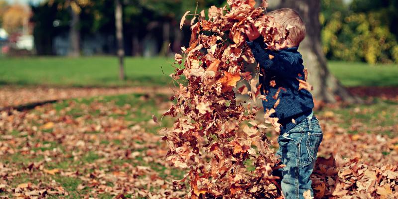 A child throwing a pile of fall leaves
