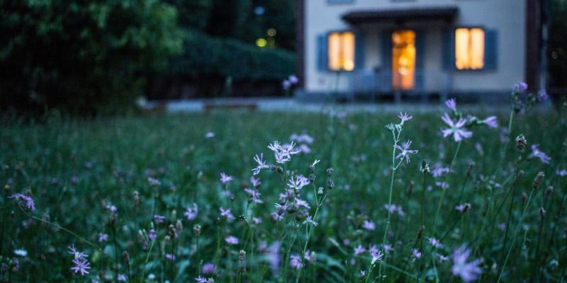 A house with flowers out front