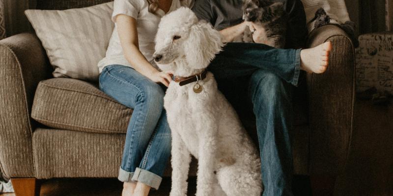 family in their home with a poodle