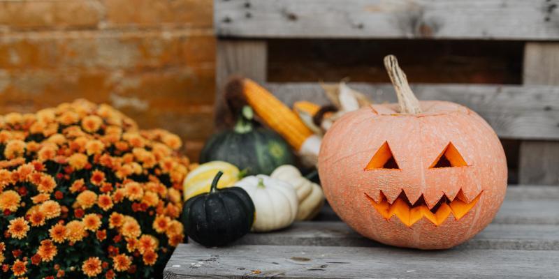 Pumpkins on a bench